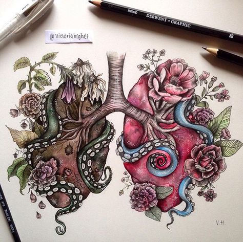 Lungs Art Drawing, Lungs Painting, Lung Drawing, Lungs Drawing, Lungs Art, Anatomical Heart Art, Watercolour And Pencil, Rauch Fotografie, Art Heart