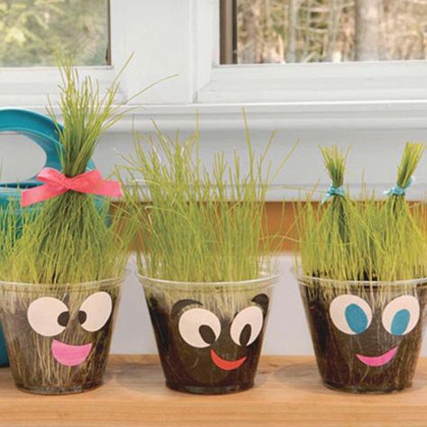 Grass head in cup Spring Science, Earth Day Crafts, Spring Kids, Beef Stroganoff, Spring Crafts, Toddler Crafts, School Crafts, Earth Day, Summer Kids