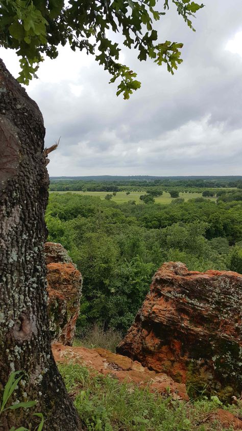 Luling Texas, Gonzales Texas, Texas State Parks, Texas Places, Palmetto State, Sulphur Springs, Canoeing, Texas State, San Antonio Texas