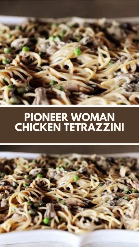 This easy Pioneer Woman Chicken Tetrazzini is a creamy, comforting meal that’s perfect for a busy weeknight. Made with tender chicken (or turkey), mushrooms, and melted cheese, it’s a quick dish that you can whip up using simple ingredients you likely have on hand. Plus, the crispy panko topping adds a delicious crunch! Turkey Tetrazzini Pioneer Woman, Chicken Tetrazzini With Mushrooms, Pioneer Woman Turkey Tetrazzini, Turkey Tetrazzini Recipe Pioneer Woman, Turkey Tetrazini, Pioneer Woman Turkey, Turkey Tetrazzini Recipe Easy, Pioneer Kitchen, Pioneer Woman Chicken