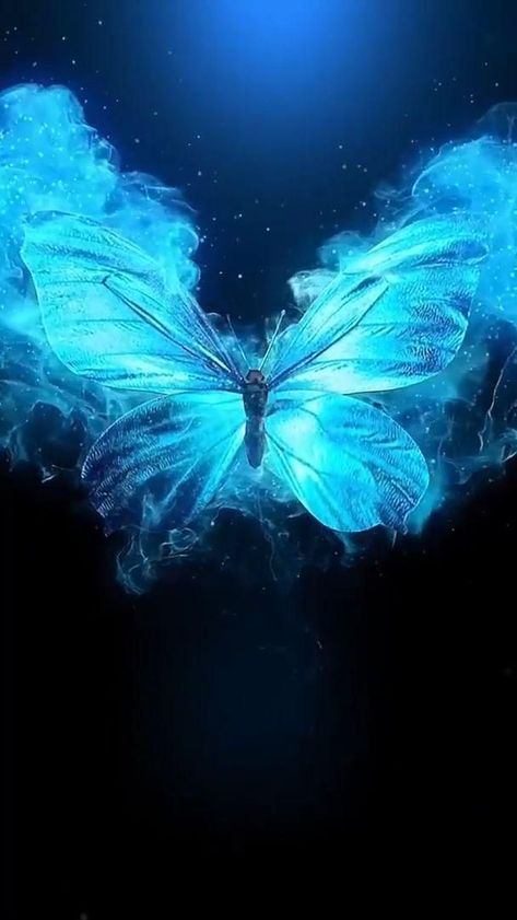 Night Sky Video, Wallpaper Backgrounds Black, Image Zen, Butterfly Video, Black And Blue Wallpaper, Backgrounds Black, Blue Butterfly Wallpaper, Butterfly Wallpaper Backgrounds, Love Wallpaper Backgrounds