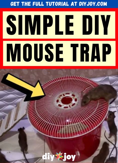 How To Make A Mouse Trap, Diy Mouse Trap, Mouse Trap Diy, Electric Mouse Trap, Diy Mouse, Pottery Barn Decor, Rat Traps, Glue Traps, Mouse Trap