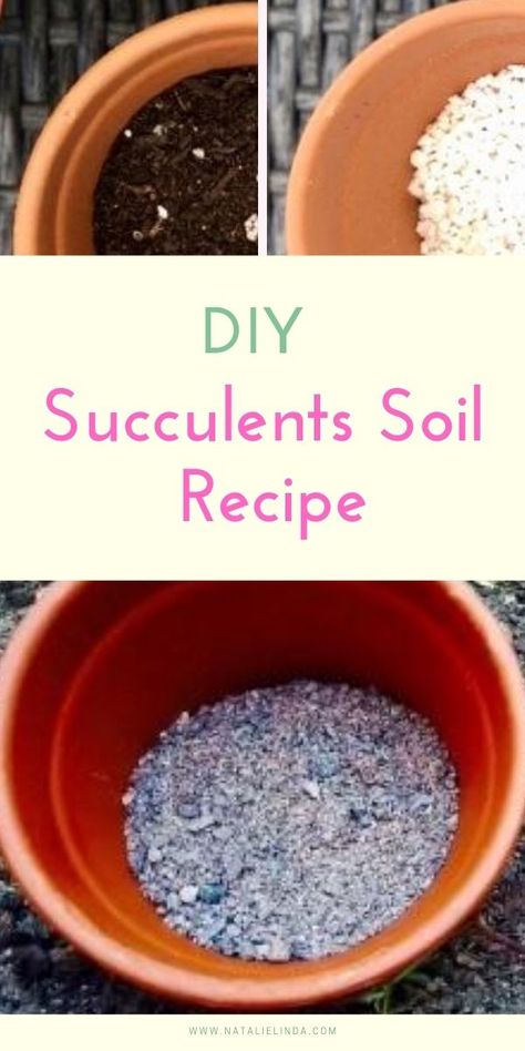 Diy Succulent Planter Indoor, Diy Succulent Soil Recipe, Succulent Soil Recipe, How To Pot Succulents, Soil For Succulents Potting, Diy Cactus Soil, Succulent Crafts Diy, Diy Succulent Soil, Succulent Soil Mix Diy