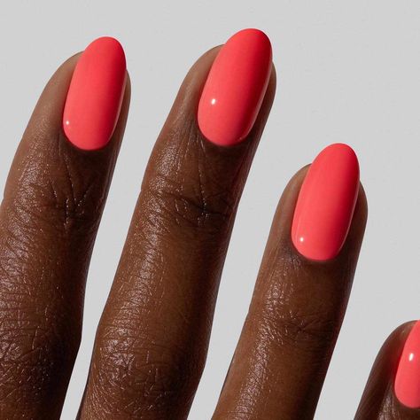 Current Nail Trends 2024 Summer, Apricot Color Nails, Spring Summer Nails Almond, Oval Coral Nails, Summer Nails Full Color, All One Color Nails, Gel Nails Summer Colors, Fun Nail Color Ideas, Guava Nails