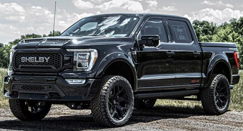 Shelby F150, Ford Raptor Truck, Ford Trucks F150, Custom Pickup Trucks, Ford 4x4, Carroll Shelby, Ford Shelby, Interior Pictures, All Terrain Tyres