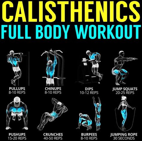 Full Body Workout For Men, Full Body Calisthenics Workout, Calisthenics Workout Program, Calisthenics Program, Calisthenics Workout Routine, Full Body Bodyweight Workout, Back Workout Men, Calisthenics Workout For Beginners, Body Weight Workout