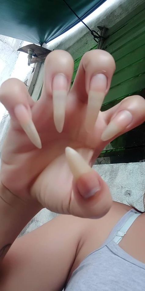 Very Long Natural Nails, Super Long Natural Nails, Natural Nails Real, Coke Nails, Real Long Nails, Natural Stiletto Nails, Long Natural Nails, Nail Tutorial Videos, Long Fingernails