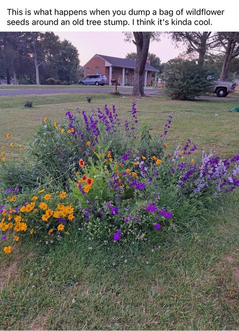 Wild Flower Planting Ideas, Farm Lifestyle, Garden Yard Ideas, Tree Stump, Green Garden, Wild Flower, Farm Gardens, The Grass, Dream Garden