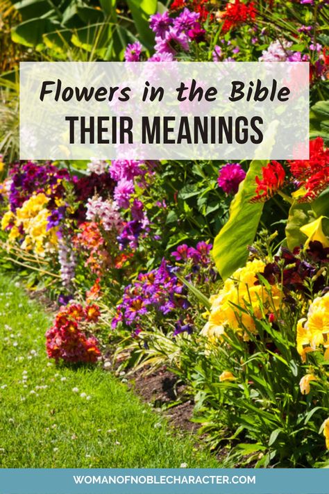 Biblical Garden Design, Faith Garden Ideas, Biblical Decorating Ideas, Flowers To Plant In Garden, Bible Garden Ideas, Church Garden Ideas, Christian Garden Ideas, Prayer Garden Ideas Church, Church Landscaping Ideas