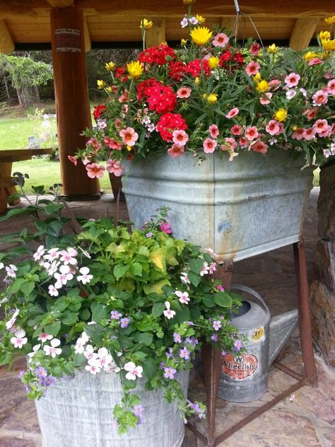 Metal Containers For Plants, Welcome Flowers, Galvanized Planters, Porch Flowers, Rustic Planters, Potted Plants Outdoor, Stock Flower, Container Gardening Flowers, Garden Junk