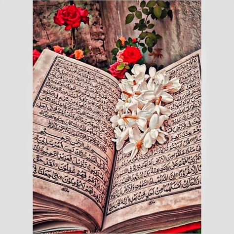 Quran Dp, Samsung Galaxy Wallpaper, Islamic Pictures, Galaxy Wallpaper, Quran, Samsung Galaxy, Book Cover, Photography, Quick Saves