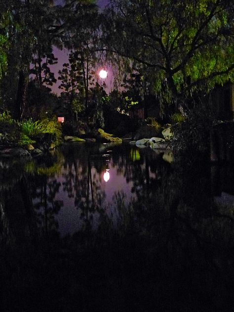 New Orleans Aesthetic Night, New Orleans At Night, Pond At Night, New Orleans Aesthetic, New Orleans Night, Alligator Meat, Southern Nights, Vampire Shows, Night Garden