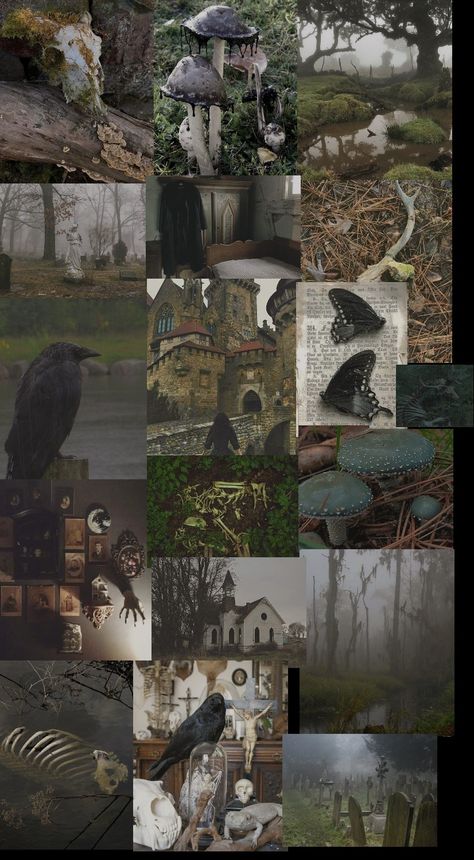 Crow Core Aesthetic, Cj Core, Dark Faerie Aesthetic, Cryptic Aesthetic, Crow Core, Wallpaper Collage Aesthetic, Goblin Aesthetic, Earthy Grunge, Faerie Aesthetic