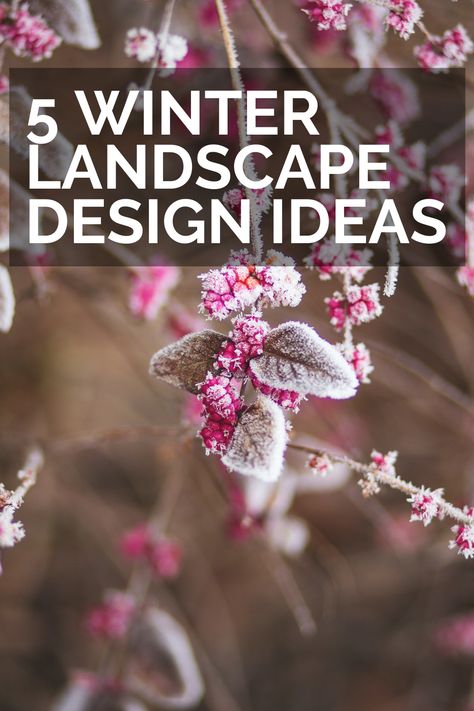 The cold, snowy winter season doesn’t have to mean saying goodbye to the beauty of your yard. In fact, there are a few simple ways to add color and texture to your landscape. Enjoy the unique beauty at your fingertips this winter season with the following tips from our landscape design team in Salt Lake City, Utah. Winter Landscape Design, Landscape Hill, Landscape Design Ideas, Landscape Designers, Snowy Winter, Salt Lake City Utah, Saying Goodbye, Unique Beauty, Winter Landscape