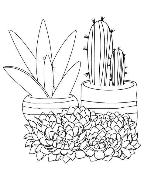 Succulent Coloring Page Succulent Coloring Page Free Printable, Succulent Coloring Page, Cactus Coloring Page, Succulent Doodle, Coloring Page Free Printable, Anime Places, Succulent Landscaping, Succulent Bouquet, Cute Cactus