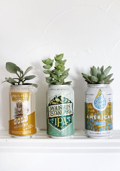 DIY Beer Can Planters @themerrythought #diy #fathersday Can Planters, Diy Projects For Couples, Isabella Grace, Diy Beer, Fresh Kitchen, Couples Diy, Closet Room, Father's Day Diy, Diy Planters