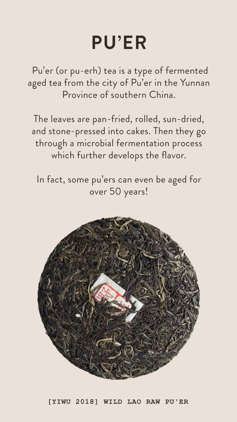 Chinese Tea Aesthetic, China Tea House, Best Teas For Health, Best Matcha Tea, Jasmine Dragon, Tea Website, Energy Tea, Tea Health Benefits, Puer Tea