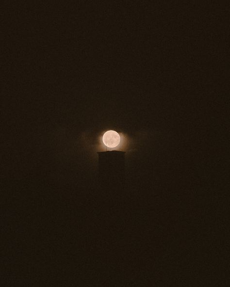 » I have late night conversations with the moon; he tells me about the sun, and I tell him about you.« — S.L. Gray #darkacademia #moon #moonlight #moonchild #romanticizeyourlife #romanticism #romanticquotes #lovequotes #naturephotography #quitebynature #aesthetic #moonphotography #luna #moonlight #moonset #eclipse #photographer Late Night Conversations, Moon Setting, Moon Photography, Moon Child, Romantic Quotes, Late Night, Dark Academia, The Moon, The Sun