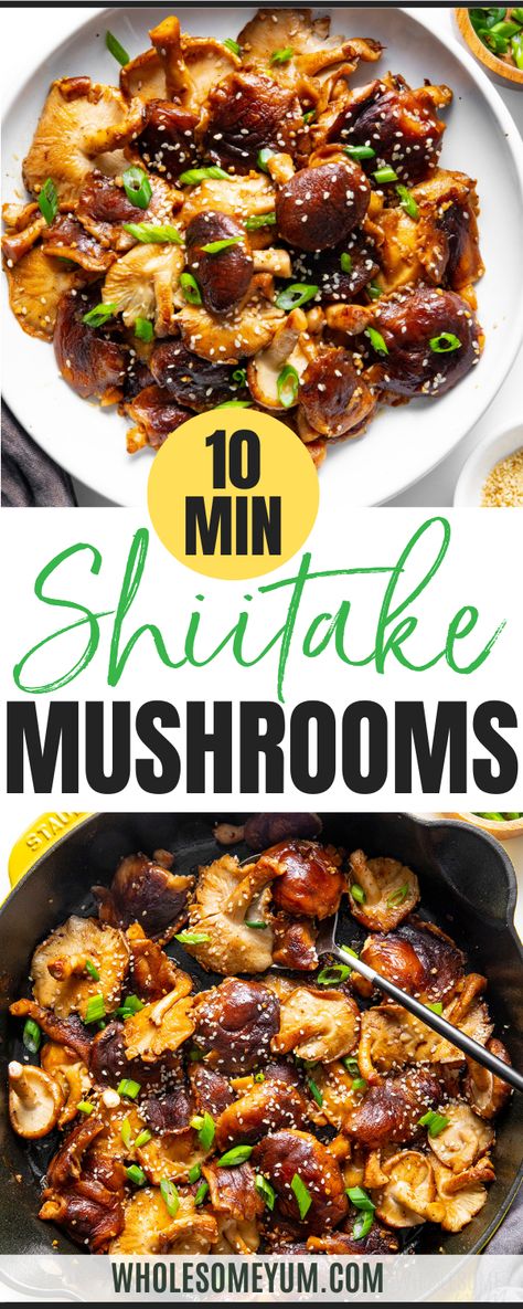 Shiitake Mushrooms Asparagus And Shiitake Mushrooms, How To Cook Shiitake Mushrooms, Snow White Mushroom Recipes, Chinese Stuffed Mushrooms, Fresh Shitake Mushroom Recipes, Hedgehog Mushroom Recipe, Exotic Mushroom Recipes, Dried Shiitake Mushroom Recipes, Japanese Mushroom Recipes