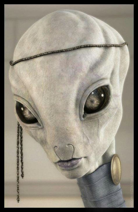 A real picture of a tall white  Source : Elizabeth Trutwin Alien Artwork, Alien Face, Grey Alien, Logo Game, Luis Royo, Alien Head, Arte Alien, Alien Character, Alien Concept