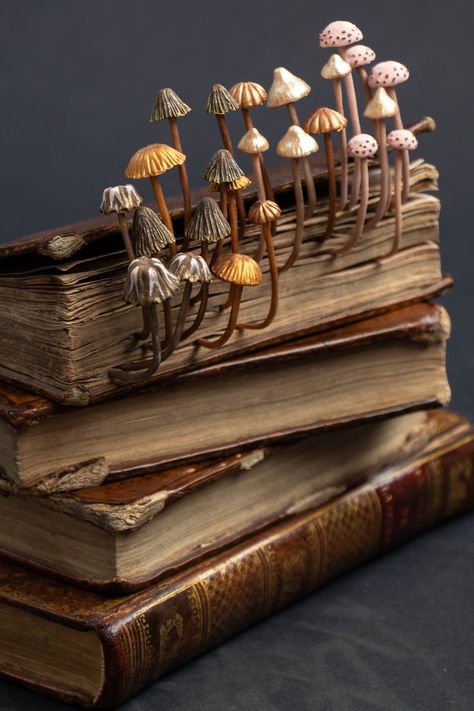 Stephanie Kilgast, Book Art Sculptures, Mushroom Crafts, Book Sculpture, Mushroom Decor, Wonderful Life, Contemporary Sculpture, Mushroom Art, Nature Crafts