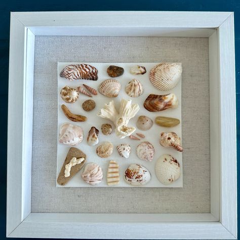 Bring the tranquil essence of the ocean into your home with our unique 9x9 Seashell Art. Each piece is lovingly-made by hand, ensuring its individuality and the beauty of the seashells. Discover the stunning charm of hand-picked Coral from Florida's beaches, perfectly showcased on a 6x6 canvas and encircled by carefully selected shells. This piece of art is presented on linen and encased in an eco-friendly MDF frame with a glass cover. Its timeless and sophisticated style makes it a perfect addi Seashell Shadow Boxes, Shell Canvas, Seashell Mosaic, Seashell Artwork, Girls Apartment, Seashell Collection, Seashell Frame, Southern Florida, Shell Ideas