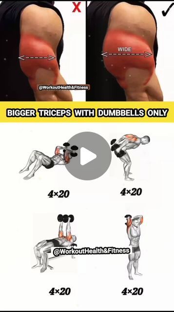 Triceps With Dumbbells, Triceps Workout With Dumbbells, Triceps Dumbell Workout, Triceps Dumbbell Workout, Dumbbell Tricep Workout, Dumbbell Chest And Tricep Workout, Chest And Tricep Workout For Men Dumbell, Tricep Workout With Dumbbells, Gym Guide