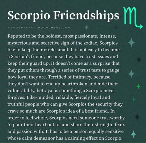 Scorpio Friendship, Virgo Friendship, Scorpio Dating, Scorpio Eyes, Aries Compatibility, Zodiac Quotes Scorpio, Virgo Scorpio, Scorpio And Libra, Virgo And Scorpio