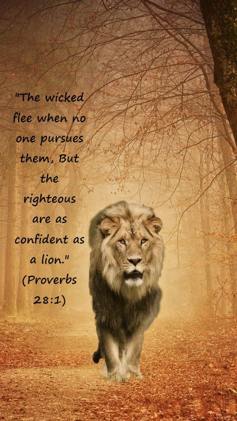 Warrior Bible Verses, Lion Bible Verse, Lion Of Judah Jesus, Lion Quotes, Jesus Christ Quotes, Bible Words Images, Christ Quotes, Bible Quotes Images, Ayat Alkitab