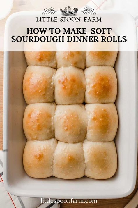 Little Spoon Farm, Sourdough Dinner, Sourdough Dinner Rolls, Sweet Potato Rolls, Recipe Using Sourdough Starter, Sourdough Rolls, Sourdough Bread Starter, Sourdough Starter Discard Recipe, Homemade Sourdough Bread