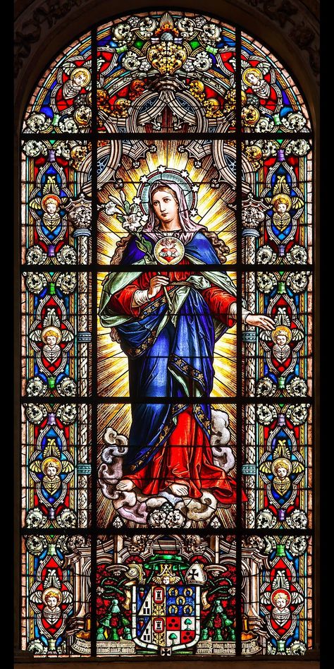 Virgen maría Catholic Church Stained Glass, Virgin Mary Tattoo, Stained Glass Windows Church, Mary Tattoo, Cordoba Spain, Stained Glass Church, زجاج ملون, Images Of Mary, Immaculate Heart