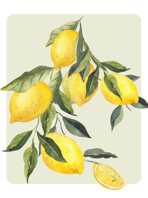 Amalfi Lemons, Lemons Art, Lemon Pictures, Branch With Leaves, Lemon Art, Art Fruit, Wine Poster, Watercolor Poster, Gallery Wall Inspiration