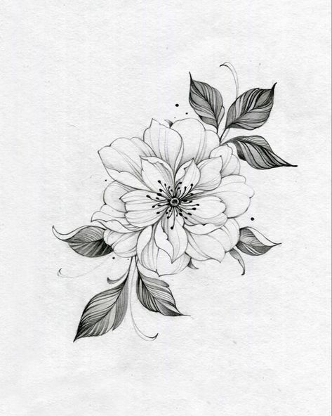 Mixed Flower Tattoo, Gardenia Tattoo, Lotusblume Tattoo, Animal Tattoo Ideas, Flower Tattoo Drawings, Flower Art Drawing, Floral Tattoo Design, Tattoo Portfolio, Flower Sketches