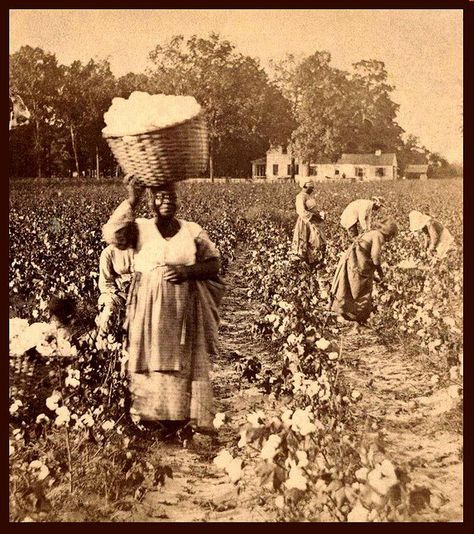 SLAVES, EX-SLAVES, and CHILDREN OF SLAVES IN THE AMERICAN SOUTH, 1860 -1900 (10) by Okinawa Soba, via Flickr Historia Universal, By Any Means Necessary, Thomas Jefferson, African History, Us History, West Indies, African American History, Black American, White Photo