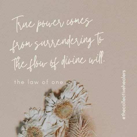 True power comes from surrendering to the flow of divine will. Save as a reminder 🫶 #quotesdaily #spiritualhealing #trusttheuniverse @the_law_of_one The Law Of One, Law Of One, Spiritual Growth Quotes, Deeper Meaning, Zen Buddhism, Growth Quotes, Spoken Words, Every Step You Take, True Nature