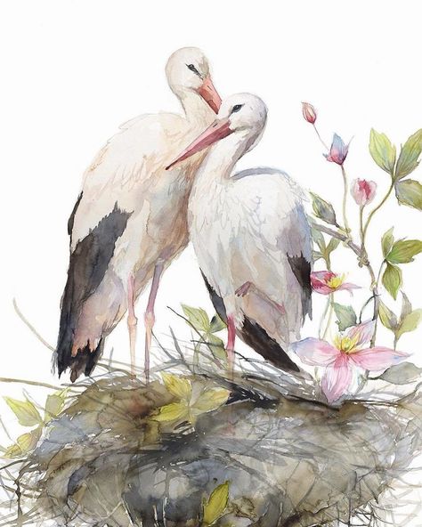 Stork Painting, Clematis Plant, Stork Bird, Birds Wall Art, Bedroom Dark, Clematis Plants, Painting Birds, Birds Art, Lotus Art