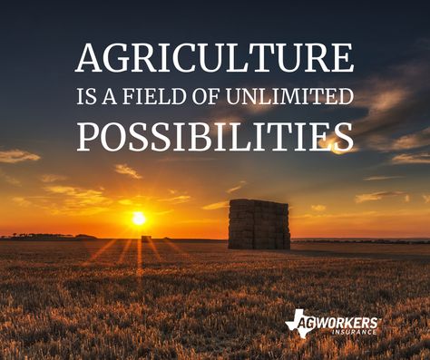 Agriculture is bigger than people think. It is not just farming, but is a field of unlimited possibilities. #agriculture #texasagriculture #agquote #quote Agriculture Sayings, Agriculture Quotes Inspiration, Farm Quotes Agriculture, Agriculture Slogans, Farmers Quotes, Agricultural Photography, Ranching Quotes, Ranch Quotes, Ag Quotes