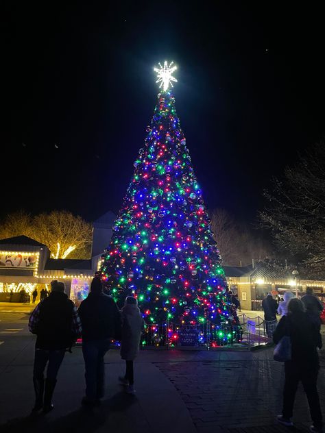 zoo light night, lit christmas tree Christmas At The Zoo, Lit Christmas Tree, Zoo Lights, Light Night, The Zoo, Christmas Tree Lighting, Art Project, Art Projects, Christmas Tree