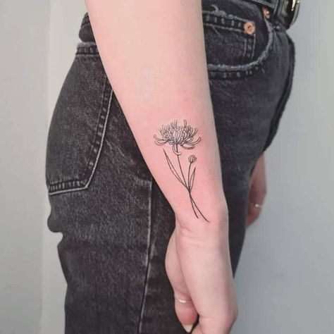 Minimal Crysanthemum Tattoo, Chrysanthemum Tattoo With Name In Stem, Chrysanthemum Tattoo Linework, White Chrysanthemum Tattoo, Chrysanthemum And Morning Glory Tattoo, Christhamum Tattoo, Chrysanthemum Wrist Tattoo, Chrysanthemum Simple Tattoo, Simple Chrysanthemum Tattoo Outline