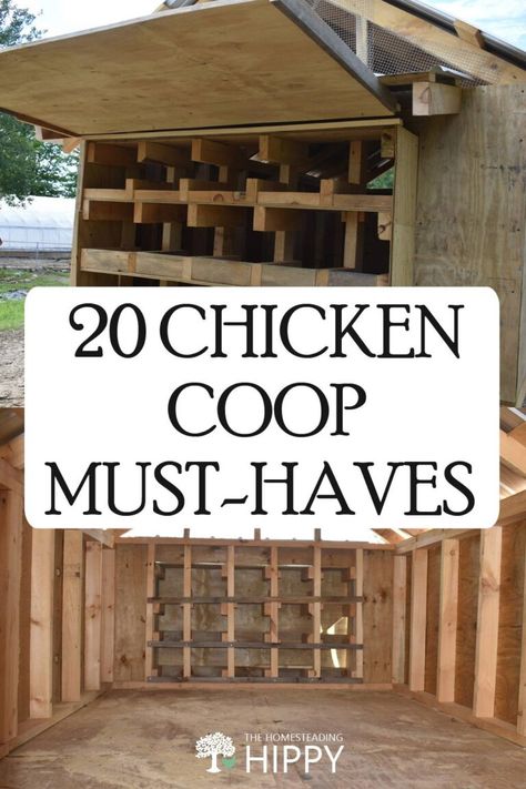 Chicken Coop Must Haves, 20 Chicken Coop, Inside Chicken Coop, Fancy Chicken Coop, Walk In Chicken Coop, Small Chicken Coops, Cute Chicken Coops, Chicken Coop Garden, Backyard Chicken Coop Plans