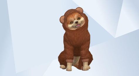 Sims 4 Pomeranian Cc, Sims 4 Beds, Sims Pets, Sims 4 Royal, Sims 4 Gallery, Sims 4 Sims, Sims Inspiration, Family Dog, Sims 4 Cc Mods