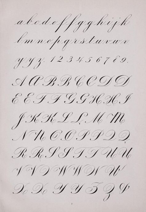 The Zanerian manual of alphabets and engrossing; an instructor in round hand, lettering, engrossing, designing, pen and brush art, etc : Zaner, C. P. (Charles Paxton) : Free Download, Borrow, and Streaming : Internet Archive Letters Styles, Amazing Handwriting, Modern Calligraphy Alphabet, Best Free Script Fonts, Calligraphy Writing Styles, Hand Lettering Alphabet Fonts, Calligraphy Fonts Alphabet, Notes Making, Copperplate Calligraphy