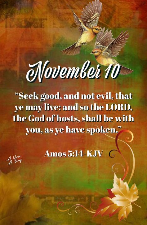 November 10 Bible Verse, Welcome November, November Quotes, Scripture Wallpaper, Weekday Quotes, Daily Blessings, Daily Word, Daily Verses, Daily Scripture