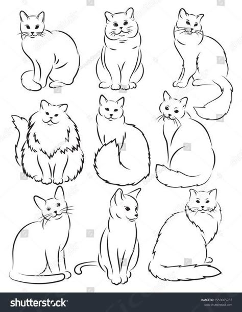 Find Cat Line Drawing stock images in HD and millions of other royalty-free stock photos, illustrations and vectors in the Shutterstock collection. Thousands of new, high-quality pictures added every day.
 ... daha fazla Fluffy Cat Silhouette Tattoo, Fluffy Cat Line Drawing, Cute Cat Outline Drawing, Cat Single Line Drawing, Fluffy Cat Outline, Cat Drawing Lineart, Cat Line Drawing Simple, Cat Line Drawing Tattoo, Vet Mural