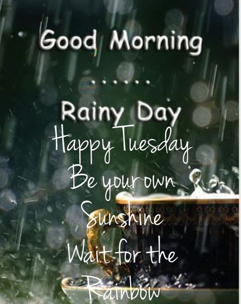 Rainy Morning Quotes, Friday Morning Images, Rainy Good Morning, Rainy Tuesday, Good Morning Rainy Day, Happy Tuesday Morning, Rainy Day Quotes, Saturday Morning Quotes, Tuesday Quotes Good Morning