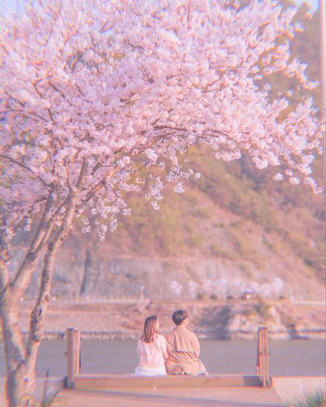 Cherry Blossom Couple Aesthetic, Tokyo Photography, Visiting Japan, Spring In Japan, Cherry Blossom Girl, Cherry Blossom Wallpaper, Cherry Blossom Japan, Japan Sakura, Aesthetic Couple