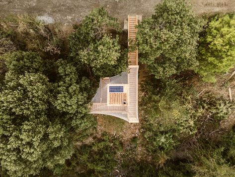 FLORA Observatory / IAAC | ArchDaily Observatory Architecture, Wood Pillars, Mass Timber, Sustainable Management, Mysteries Of The World, Forest Canopy, Acoustic Insulation, Timber Panelling, Timber Structure