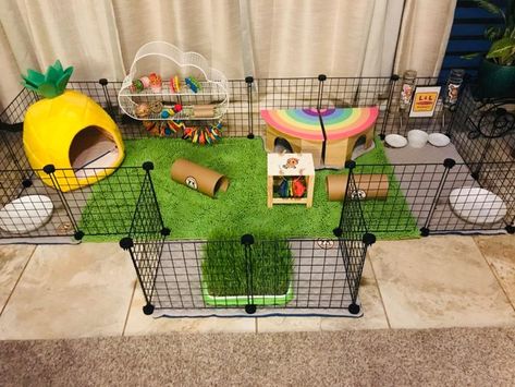 Indoor Guinea Pig Cage, Indoor Rabbit Cage, Hedgehog Cage, Diy Guinea Pig Cage, Guinea Pig Diy, Bunny Room, Guinea Pig House, Indoor Rabbit, Bunny Cages