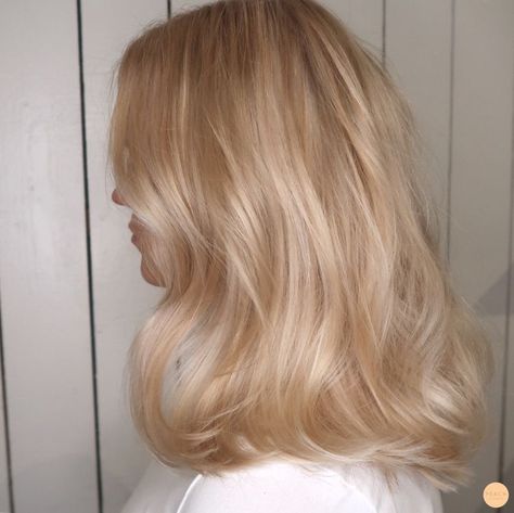 Champagne Blonde Hair, Highlight Ideas, Light Blonde Hair, Honey Blonde Hair, Blonde Hair Looks, Winged Liner, Skin Hair, Long Blonde, Stardew Valley