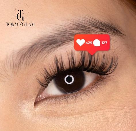 Japanese Eyes, Perfect Lashes, Eyelash Extension Training, Extension Training, Eyelash Extentions, Volume Lashes, Eyelash Extension, Eyelash Extensions, Cruelty Free